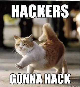 Hacker Cat