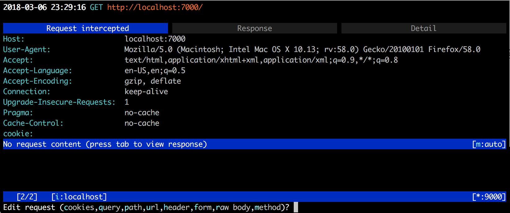 Request tab in mitmproxy CLI